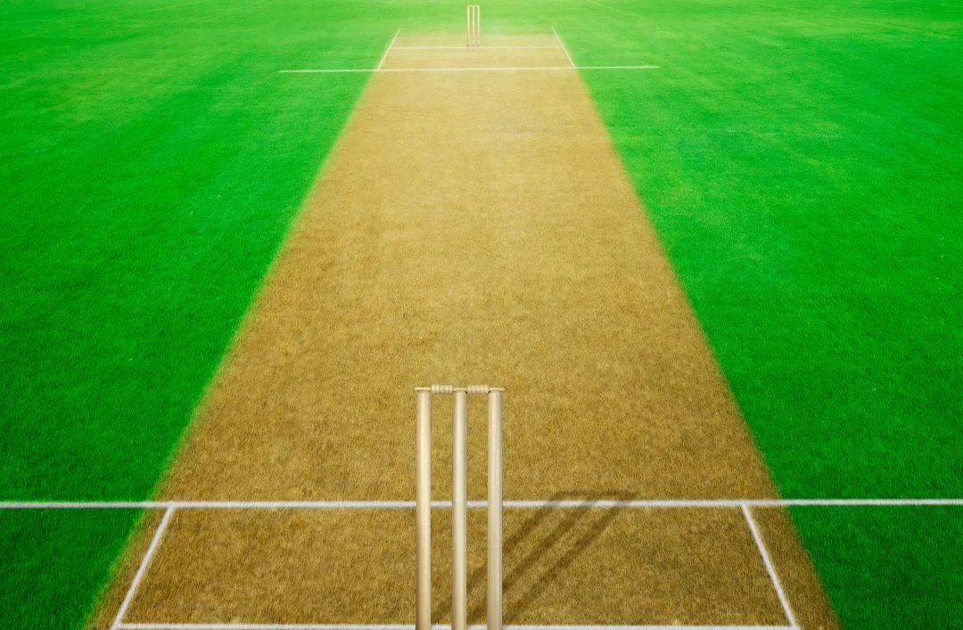 Concorde Eleve Cricket Pitch